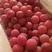 优质河北红提葡萄，已经上市，可视频看货，供货到春节！