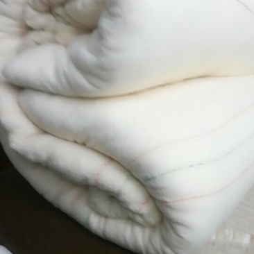 新疆第五师手摘棉花网套