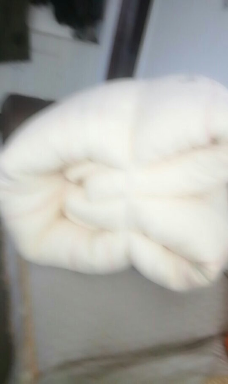 新疆第五师手摘棉花网套