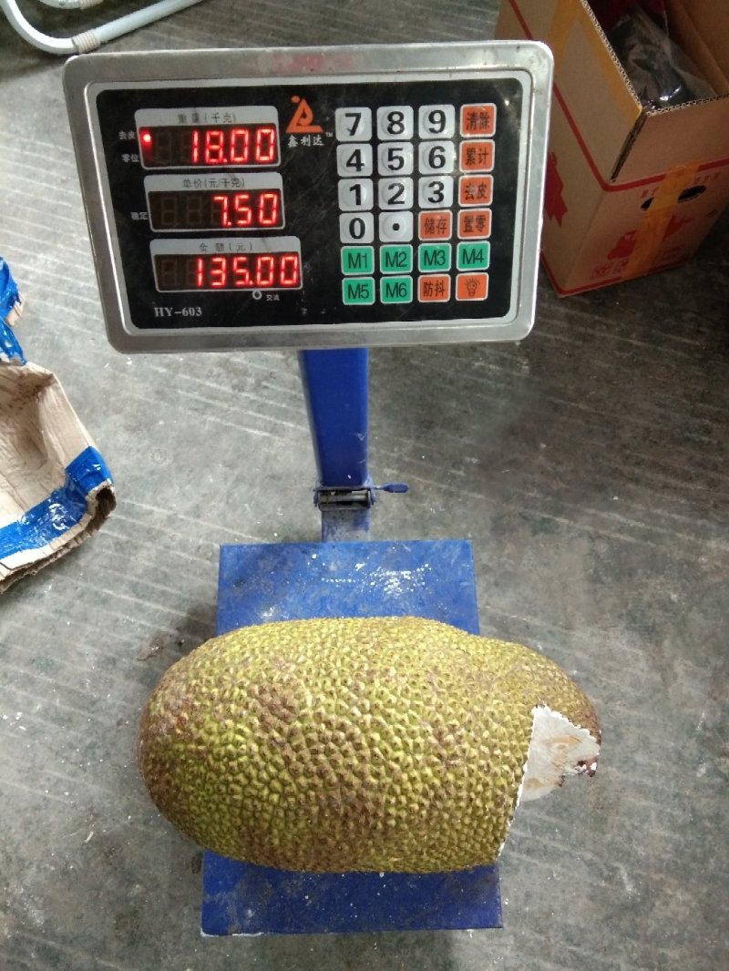 红肉菠萝蜜