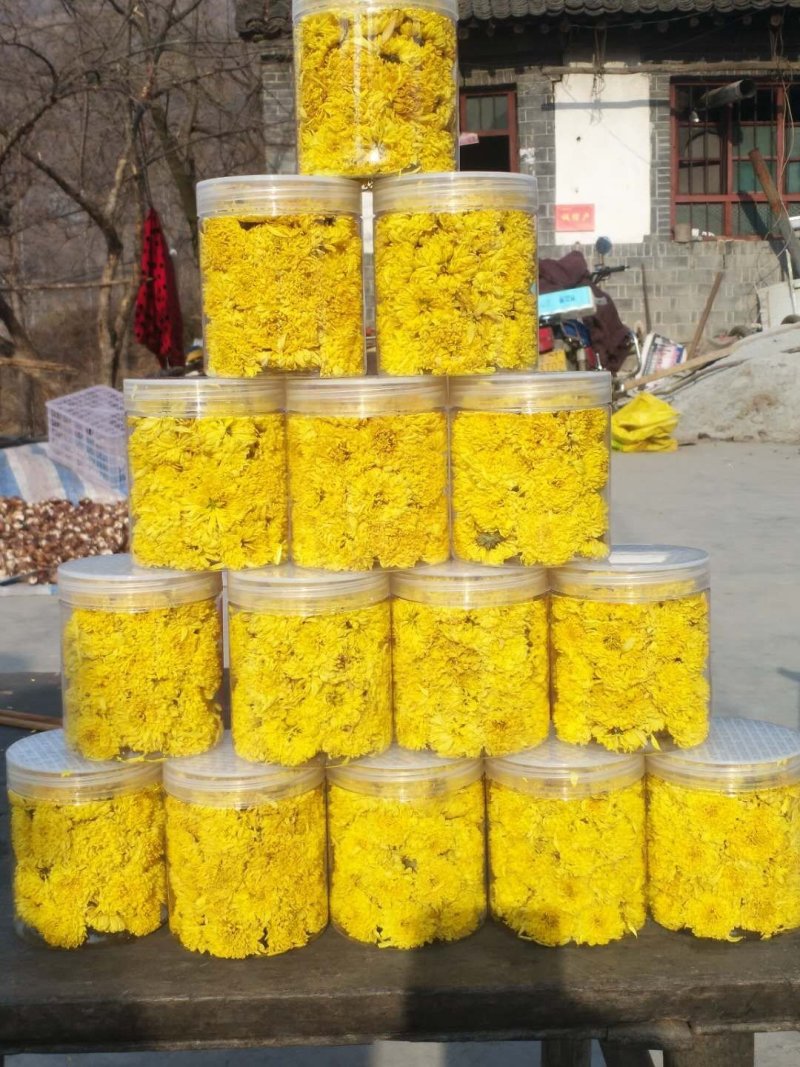 菊花
