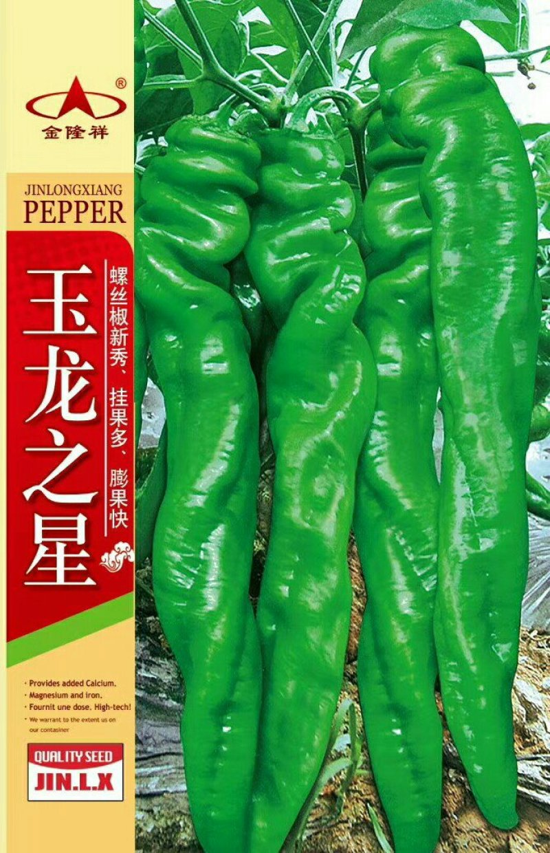 玉龙之星螺丝椒种子1000粒/袋