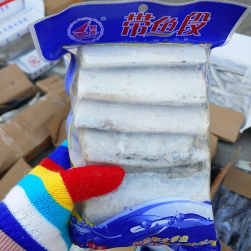 刀鱼段，带鱼段