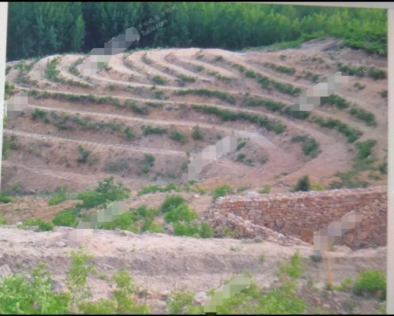临沂蒙阴县150亩有林地转让