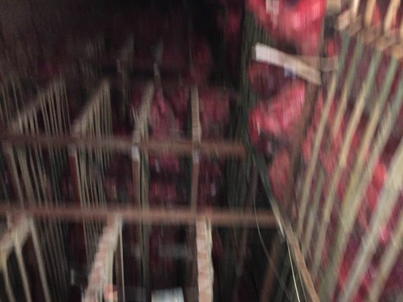 聊城洋葱规格10个以上