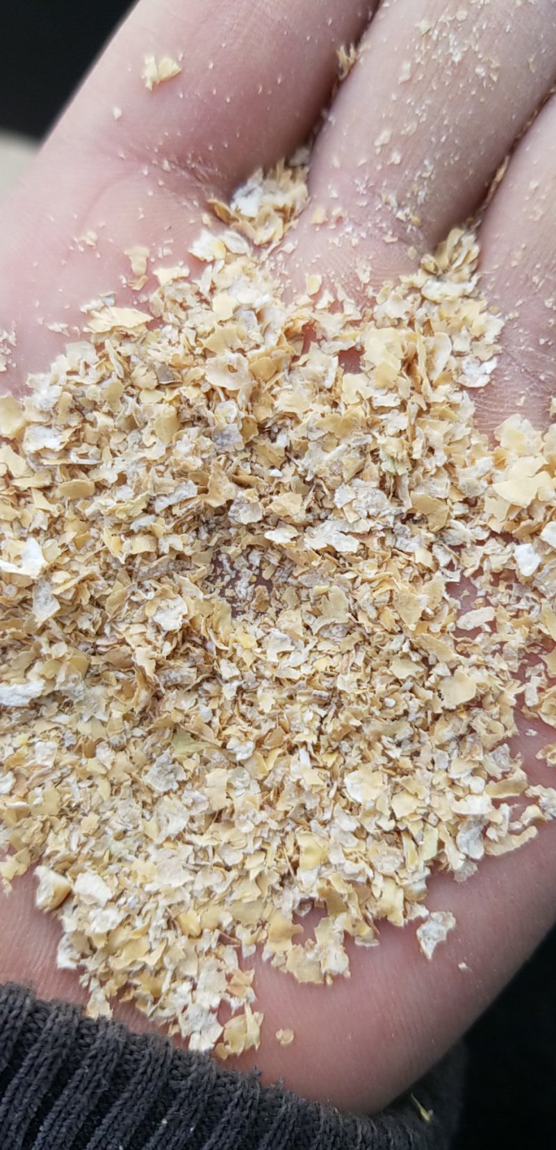 优质麸皮无任何杂质全国发货