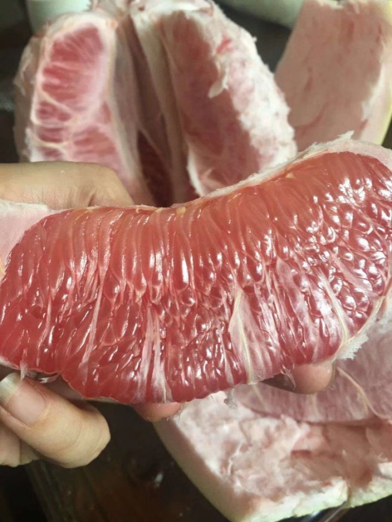柚子树苗三红蜜柚苗正品嫁接苗