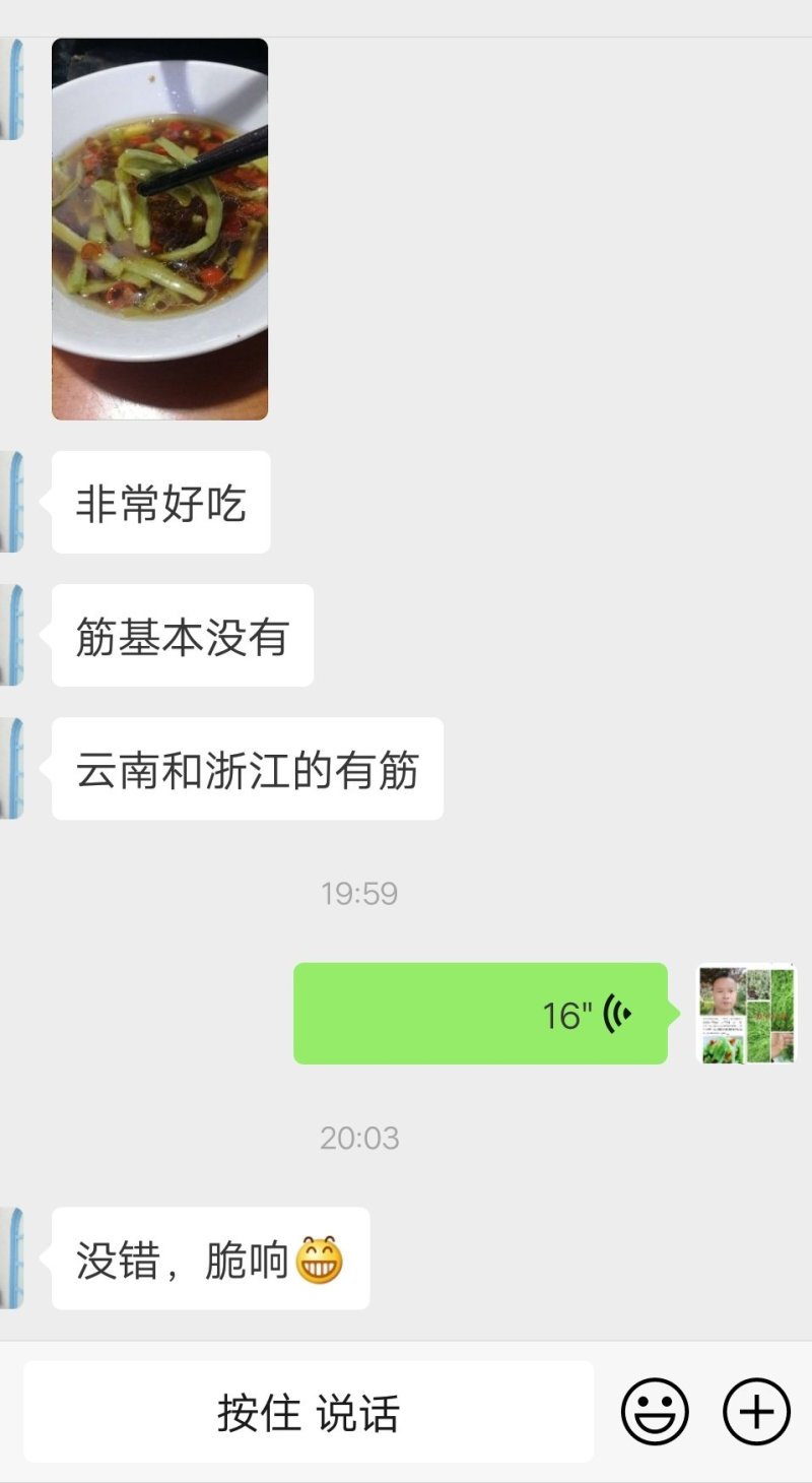 贡菜