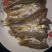 香酥黄花鱼