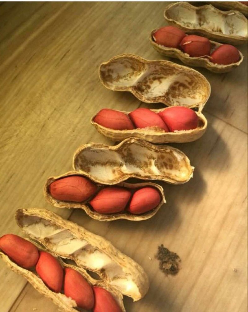 优质四粒红花生，籽粒饱满，口感香甜，基地直供，欢迎选购！