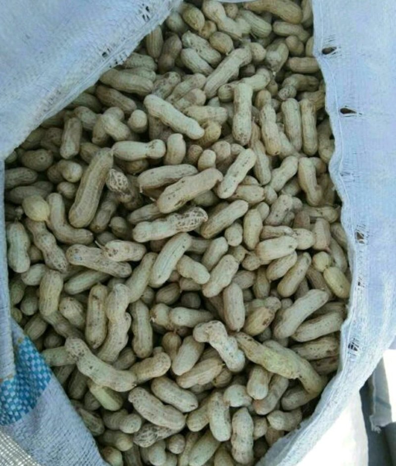 优质四粒红花生，籽粒饱满，口感香甜，基地直供，欢迎选购！