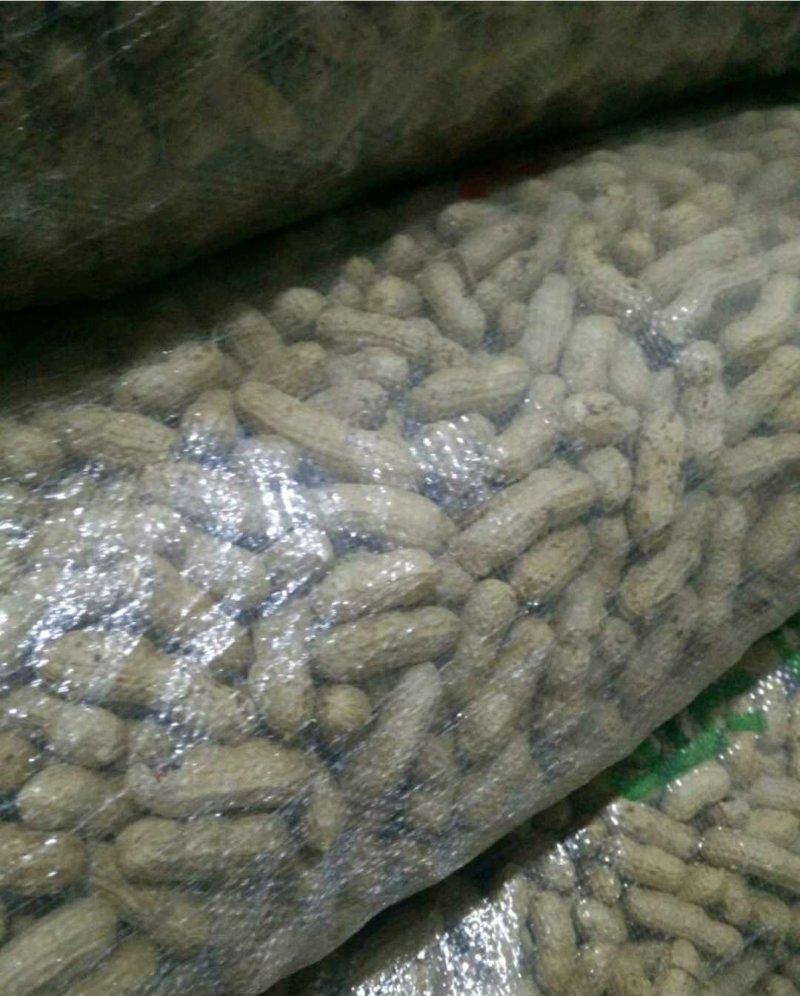 优质四粒红花生，籽粒饱满，口感香甜，基地直供，欢迎选购！