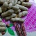 优质四粒红花生，籽粒饱满，口感香甜，基地直供，欢迎选购！