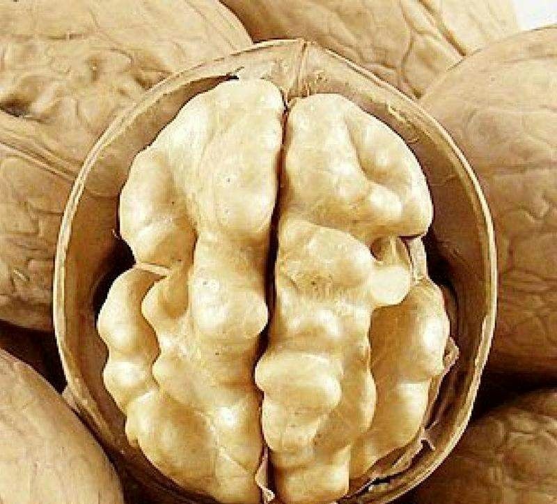 新疆纸皮核桃，籽粒饱满，皮薄肉细，产地直销，量大从优！