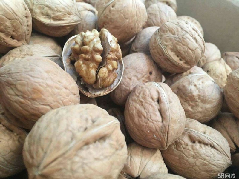 新疆纸皮核桃，籽粒饱满，皮薄肉细，产地直销，量大从优！