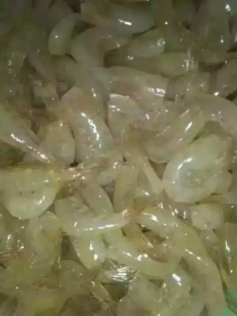 河虾，淡水白虾，冻板一公斤包装