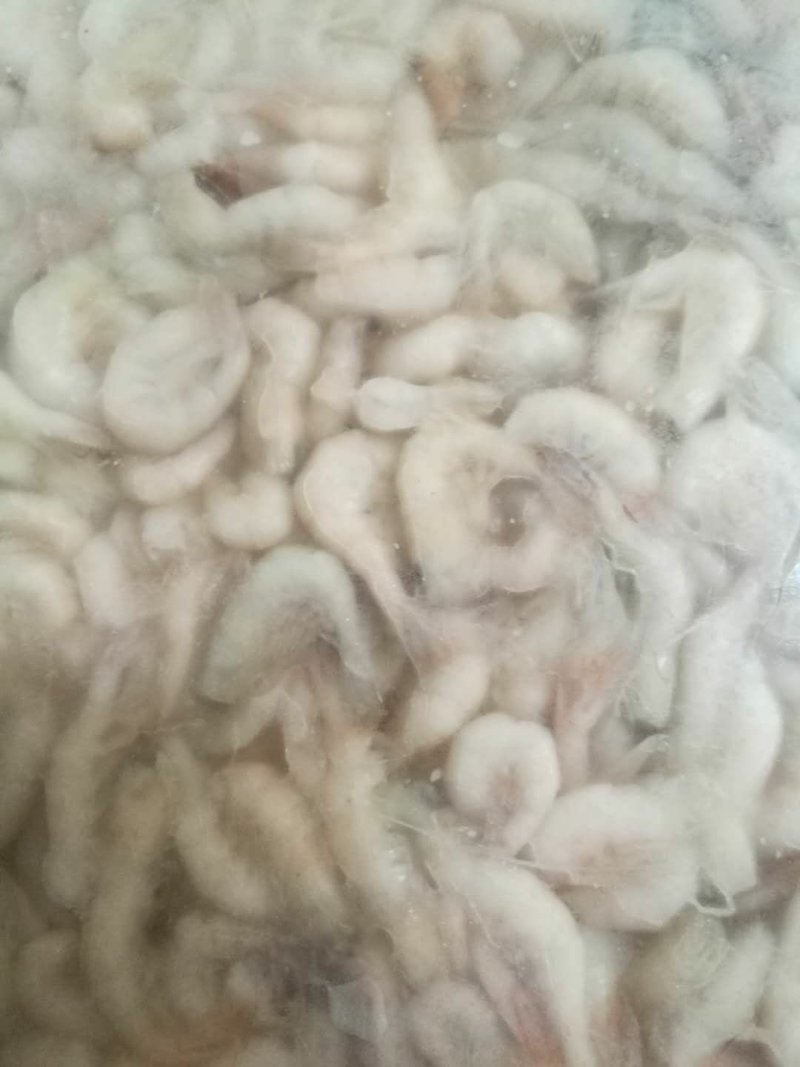 河虾，淡水白虾，冻板一公斤包装