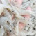 河虾，淡水白虾，冻板一公斤包装