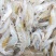 河虾，淡水白虾，冻板一公斤包装