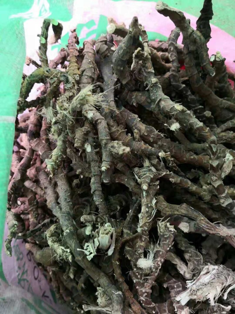 石菖蒲