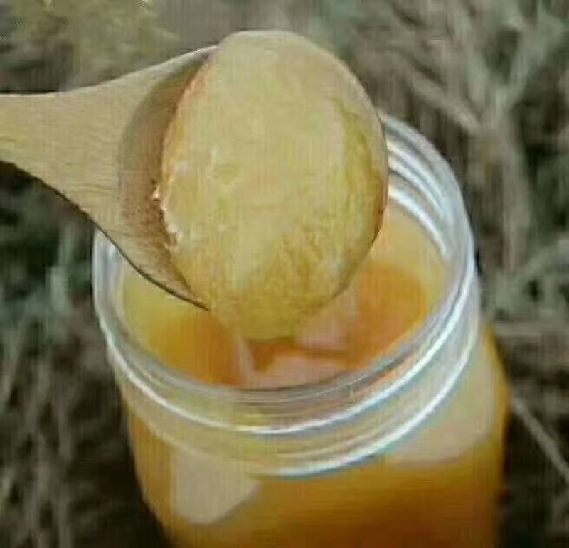 土蜂蜜