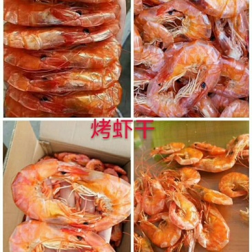 大小规格烤虾干度好口感好