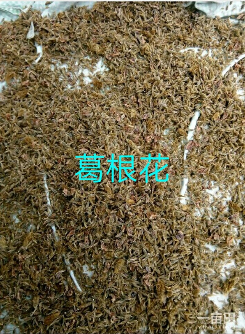 葛花货源充足，产地直发，诚信经营，欢迎客商来电
