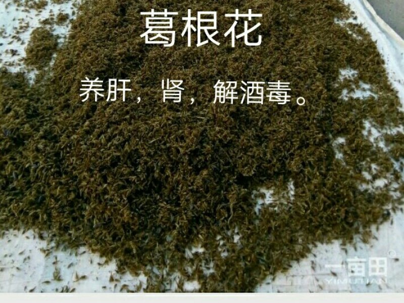 葛花货源充足，产地直发，诚信经营，欢迎客商来电