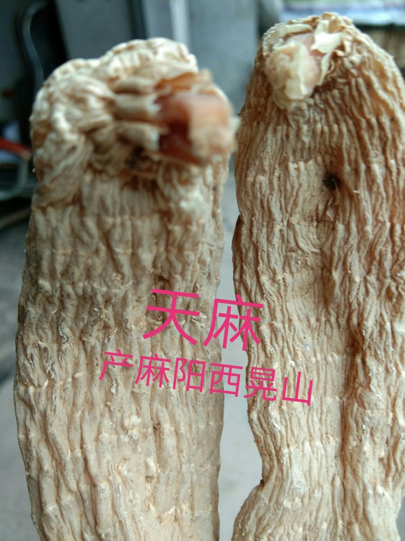 天麻支持视频看货，可发往全国市场