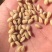 粮油作物0000000000000000000