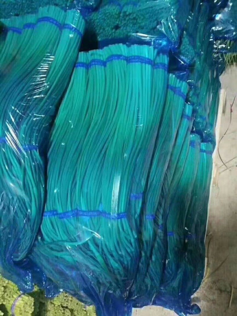 蒜薹冷库蒜薹大量出售质量好货源很多质量保证没问题