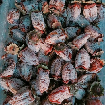 柿饼