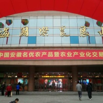 淮北水果青萝卜供应阜阳宿州亳州，天津山东全国，绿肉甜脆
