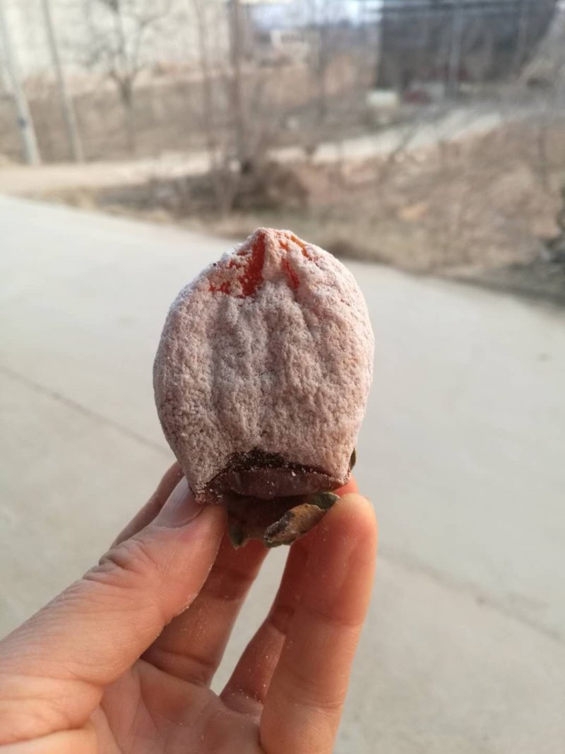 柿饼