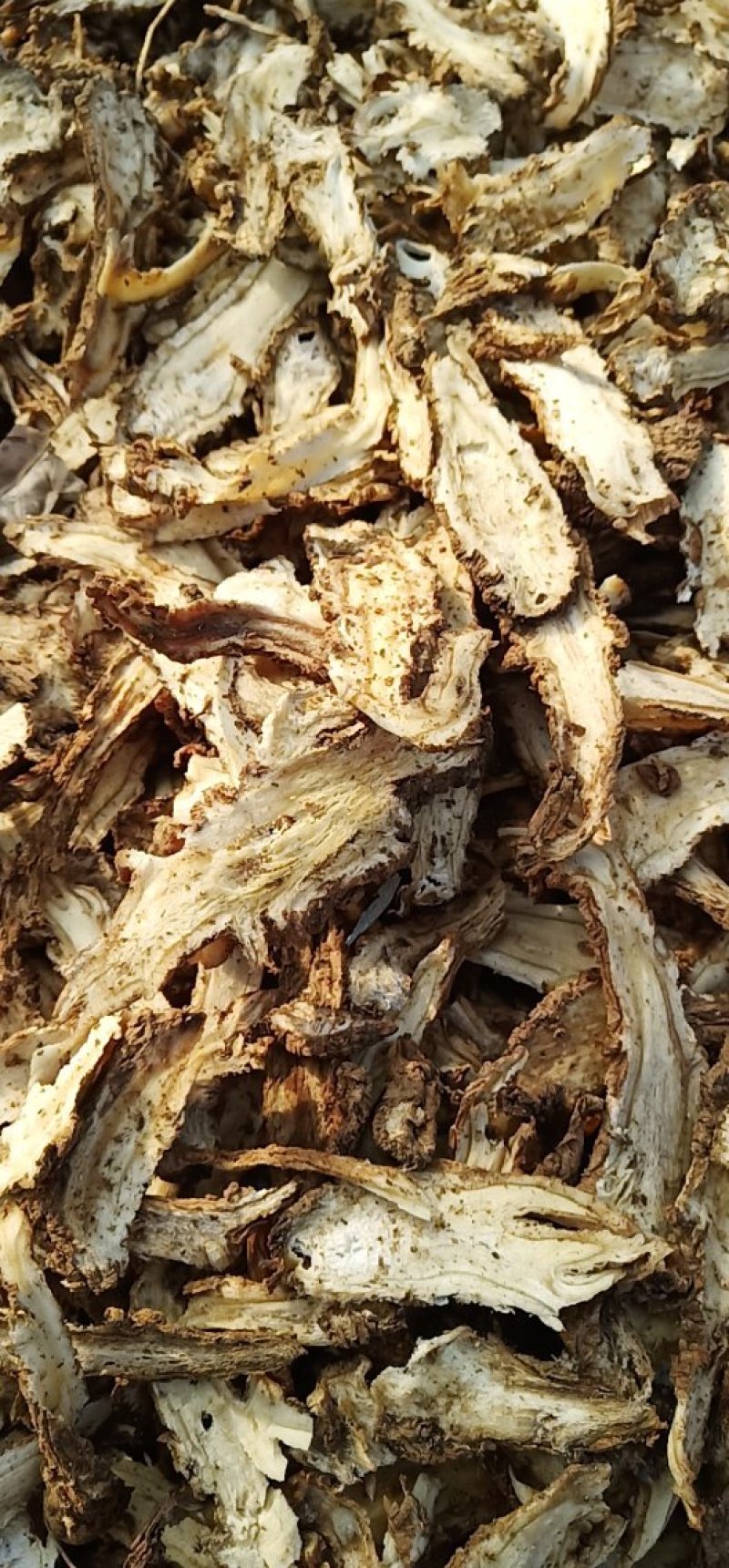 全归片精选过3号筛4号筛可定制全归片