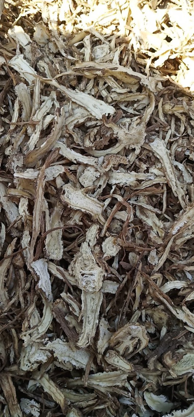 全归片精选过3号筛4号筛可定制全归片