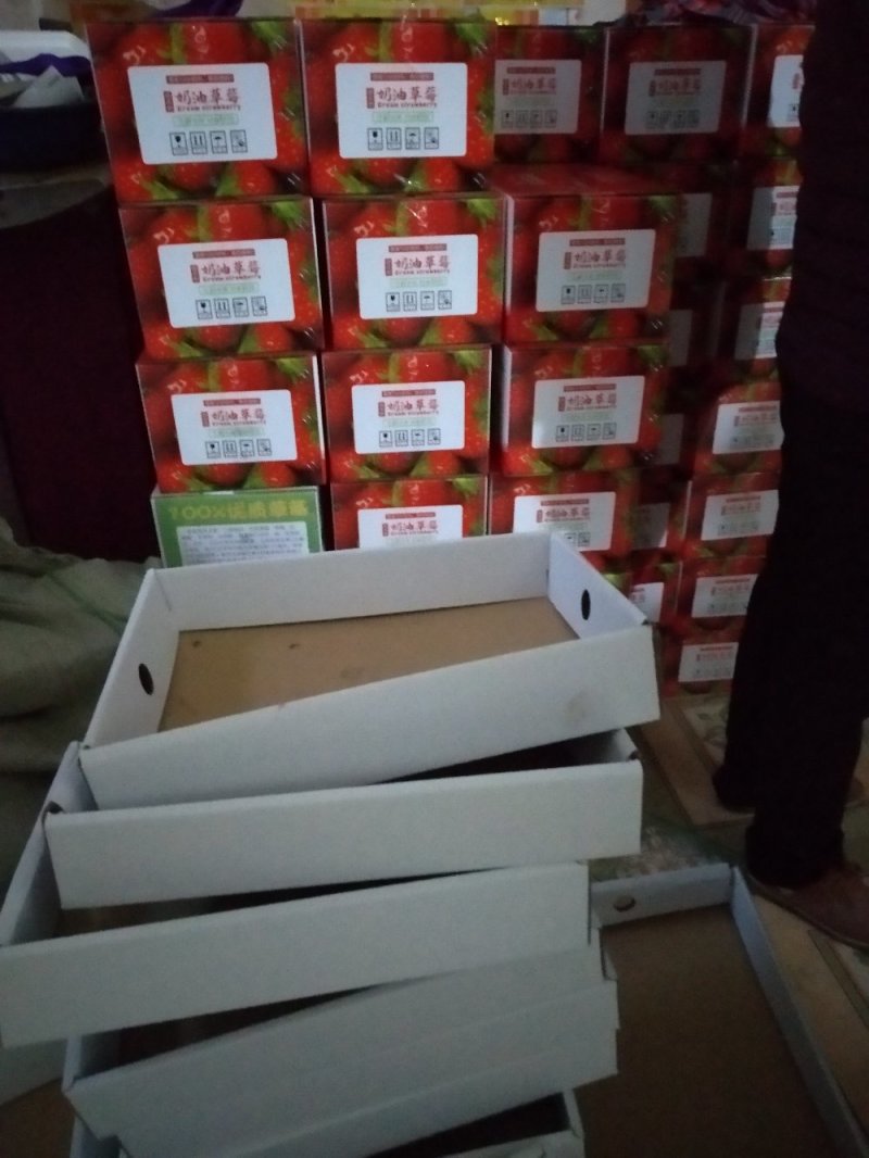 精品甜查理草莓量大从商超直供欢迎咨询