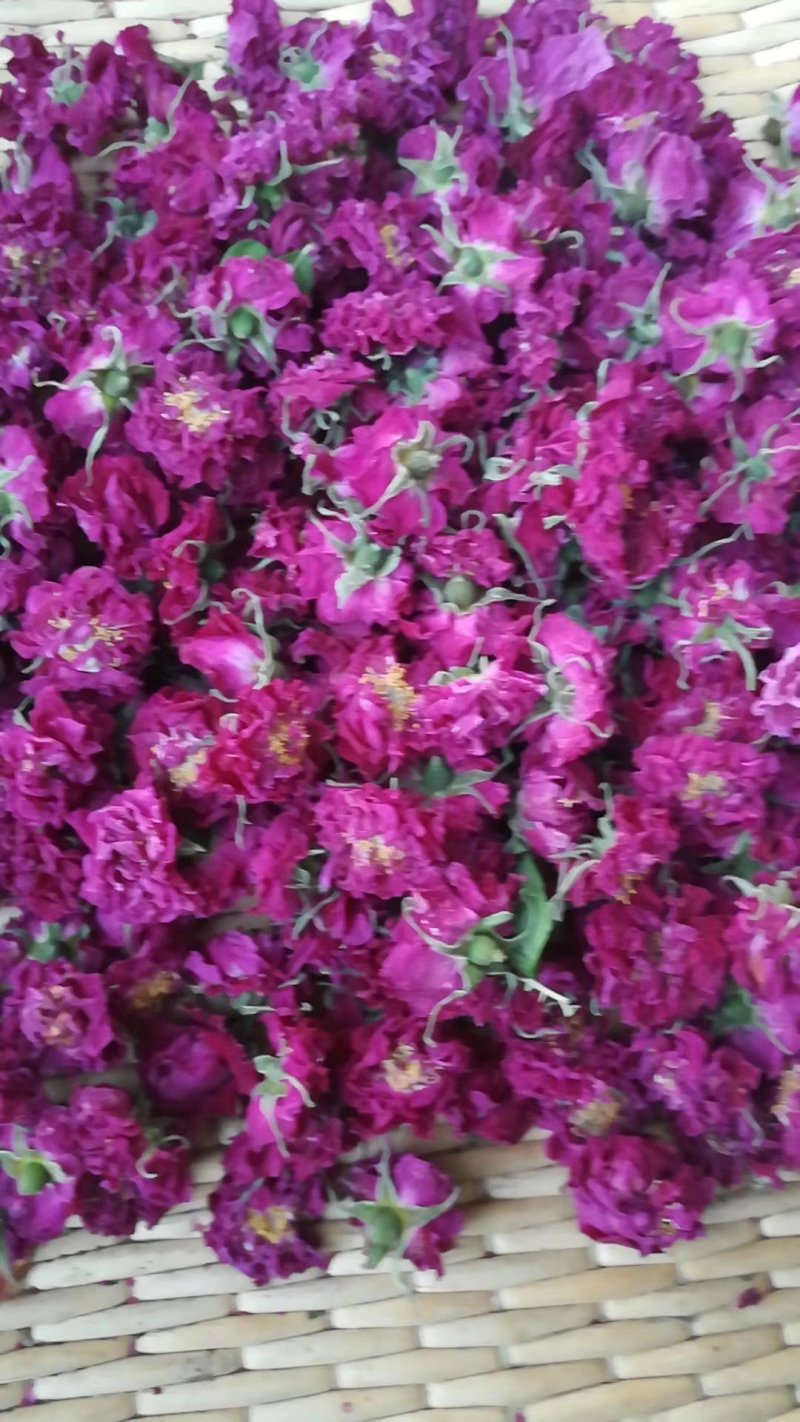 玫瑰花冠无硫一级平阴玫瑰大花冠基地直供