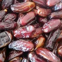 椰枣伊朗黑椰枣进口伊朗黑椰枣