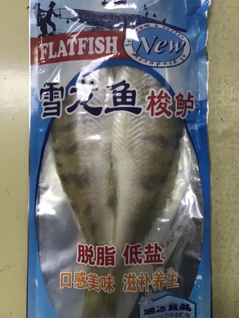 天山雪龙鱼