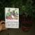 草莓味番石榴苗3年苗适合南北种植红番石榴苗