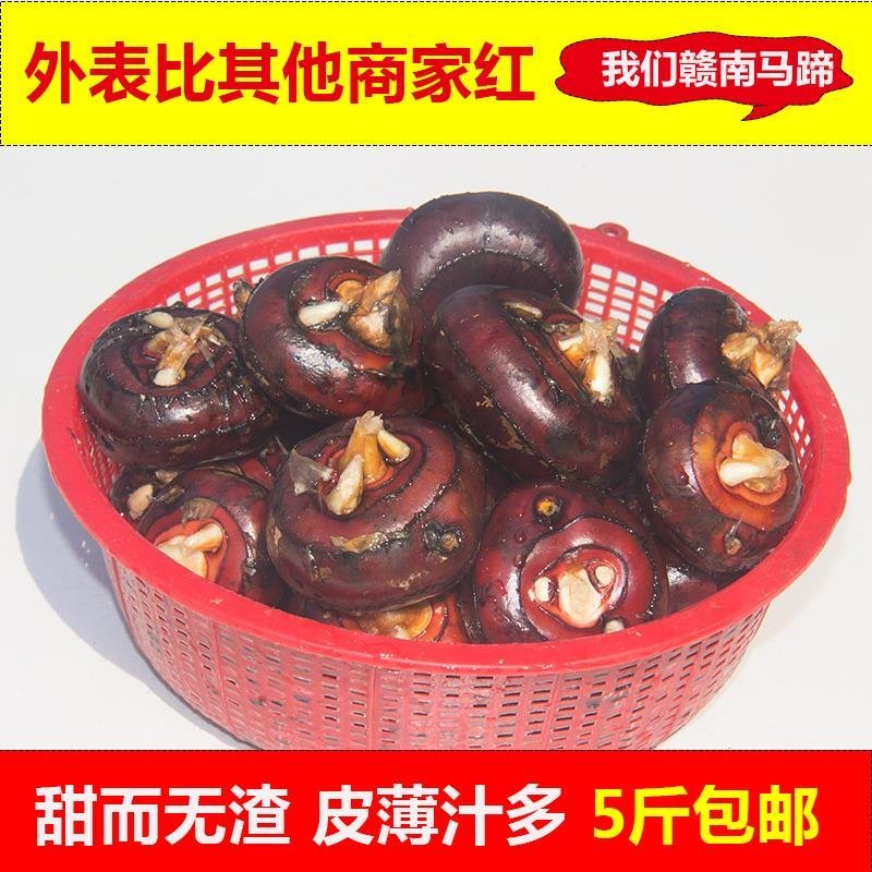 赣南正宗大马蹄，簸箕，白棋，孛荠