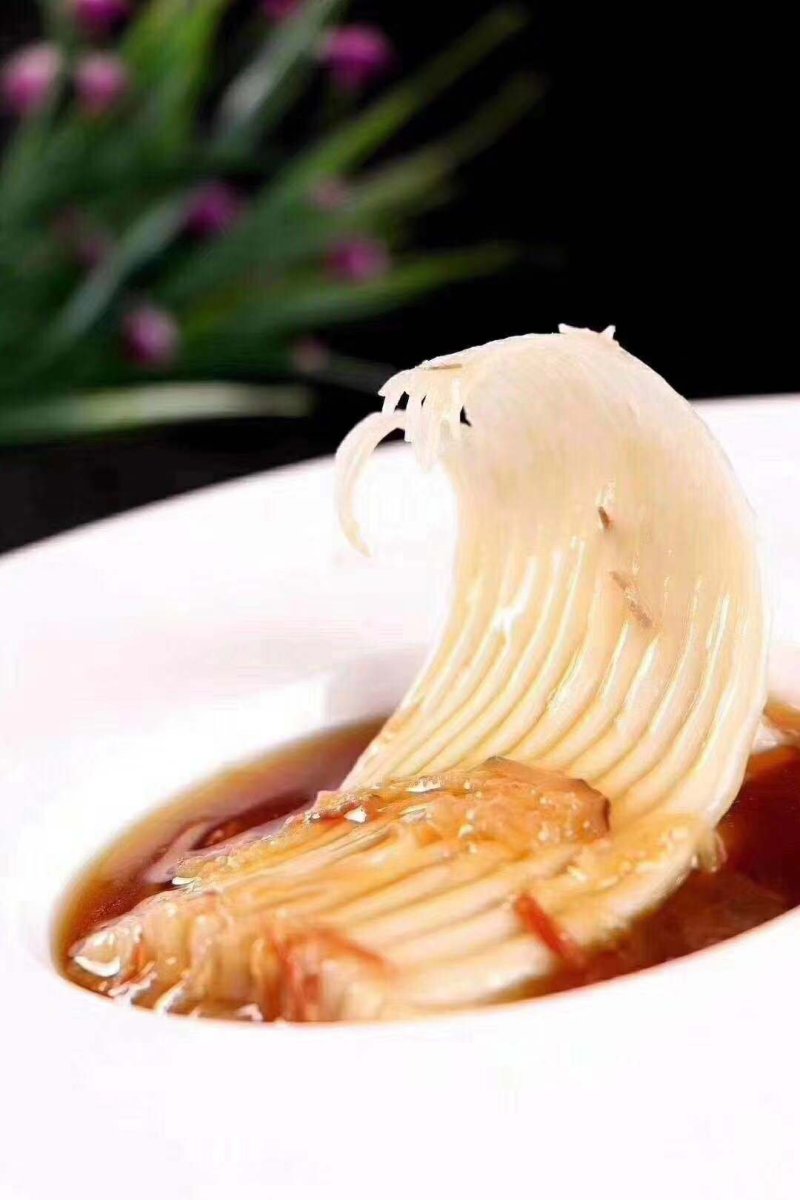鱼翅