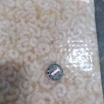 虾仁500一600粒每吨56000元