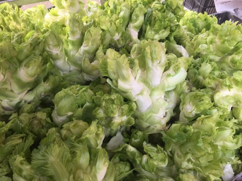 精品儿菜