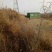 山地
