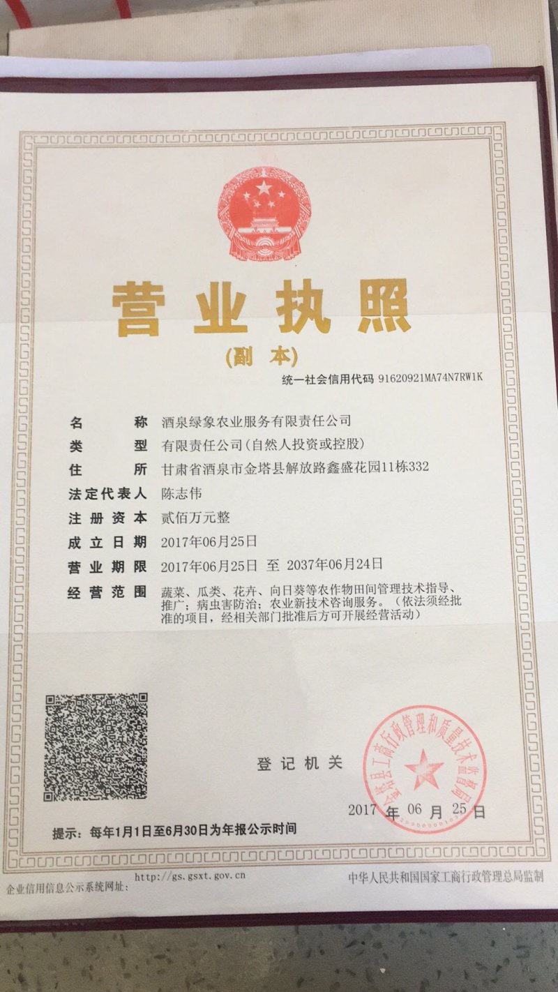南瓜种子短蔓黑晶黑金刚墨栗