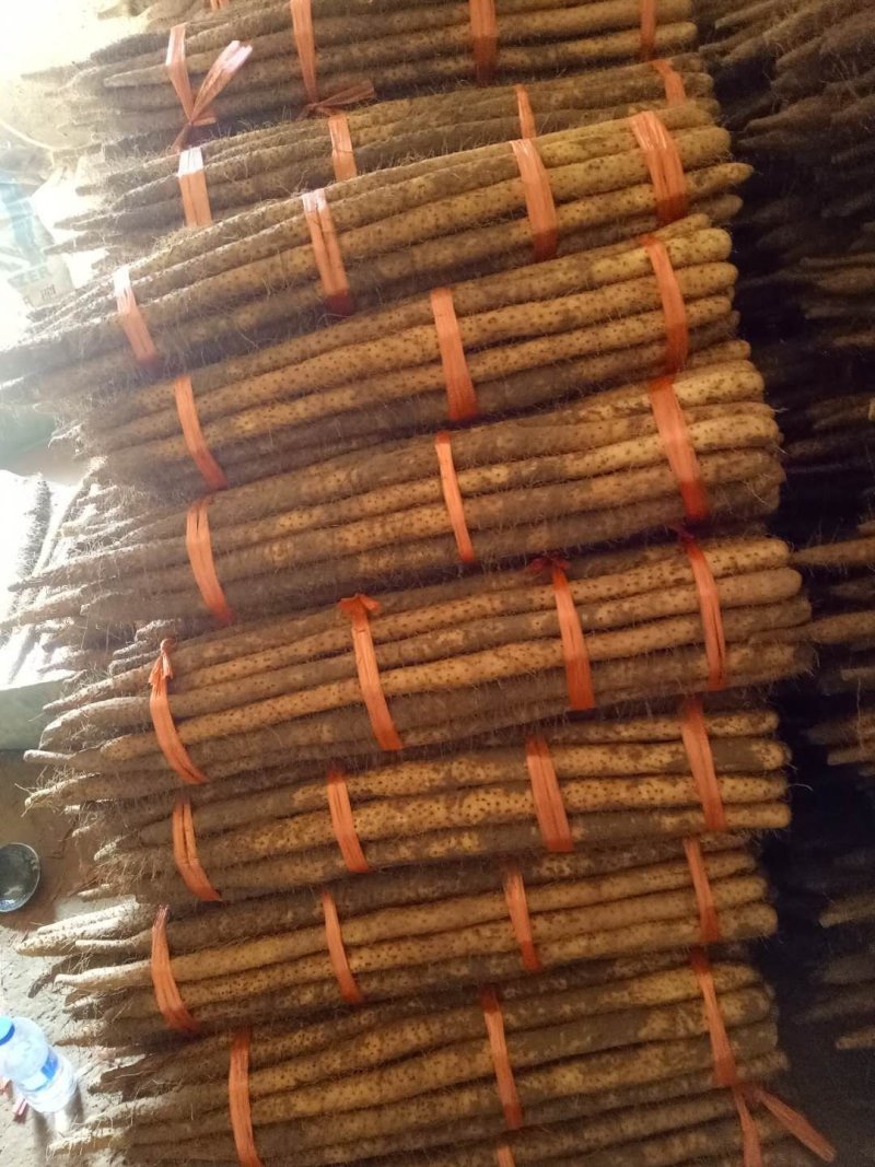 麻山药棒山药河北山药棒药长年有货产地直供