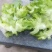 大儿菜