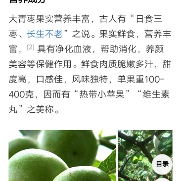 台湾大青枣